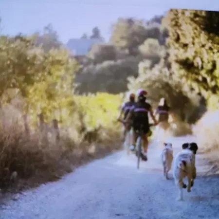 Villamarziabike&nature 3*